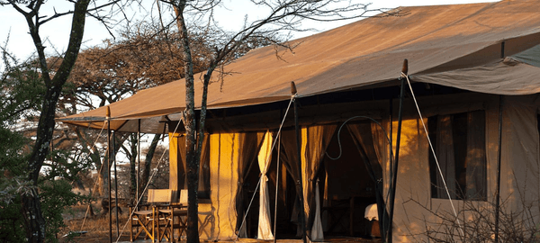 ndutu tented hero