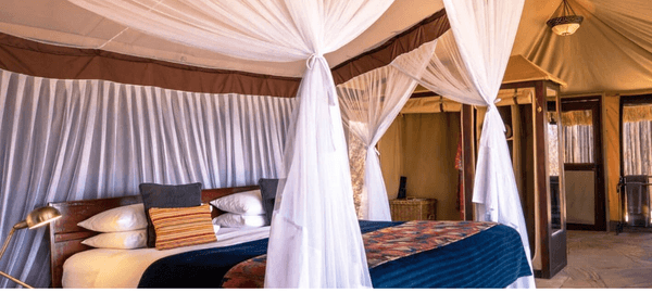 A spacious safari tent bedroom with a four-poster bed draped in white mosquito netting, soft lighting, and rustic furnishings creates a warm and elegant retreat.