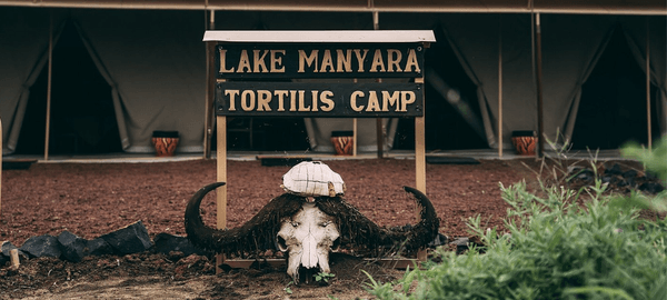tortilis camp