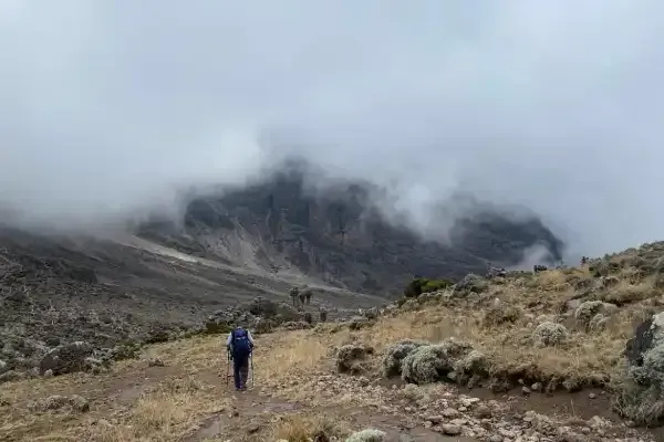 Typical Day On Kilimanjaro 1 — Ascend Tanzania photo library
