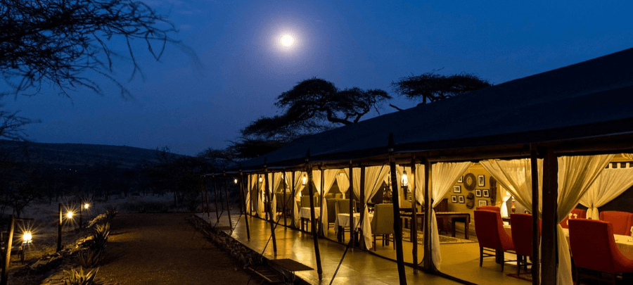 Ole Serai Luxury Camp Moru Kopjes