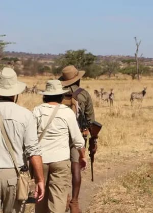 Tanzania safari itinerary Lake Manyara, Serengeti, Ngorongoro & Tarangire — Serengeti, Ngorongoro & bush camps with Ascend Tanzania