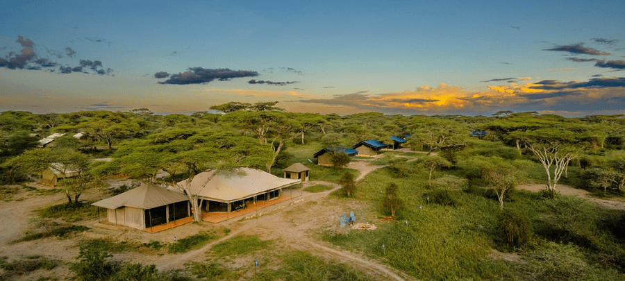 Ang'ata Migration - Ndutu