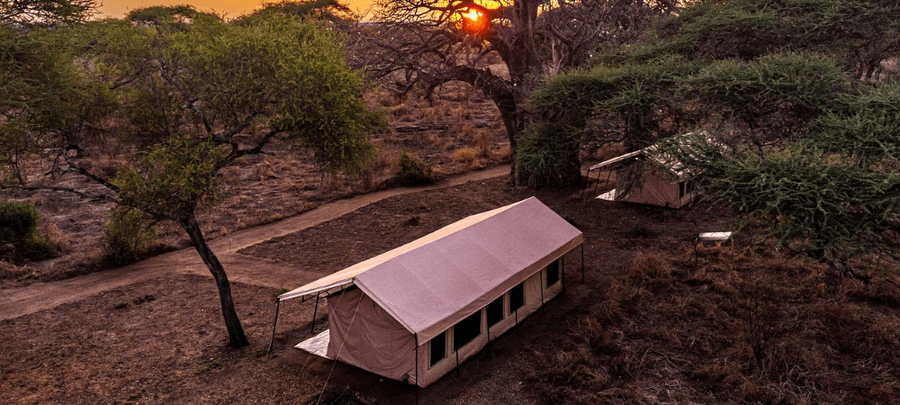 An aerial sunset view of luxury safari tents nestled among acacia trees in the African bush. Winding dirt paths weave through the dry wilderness landscape, while the warm glow of…
