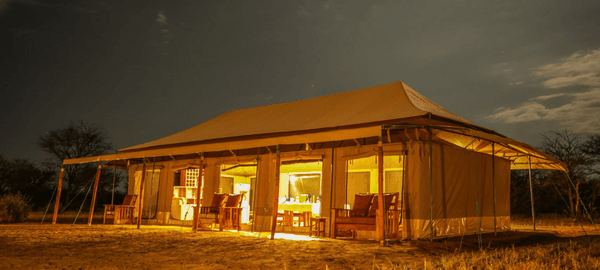 Into Wild Africa Luxury Tented Safari Camp Serengeti