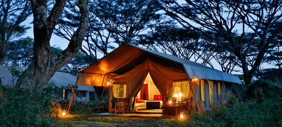 A luxury safari tent glows warmly at dusk beneath a canopy of tall acacia trees. Lanterns illuminate the outdoor area while the open-front tent reveals a cozy interior with soft l…