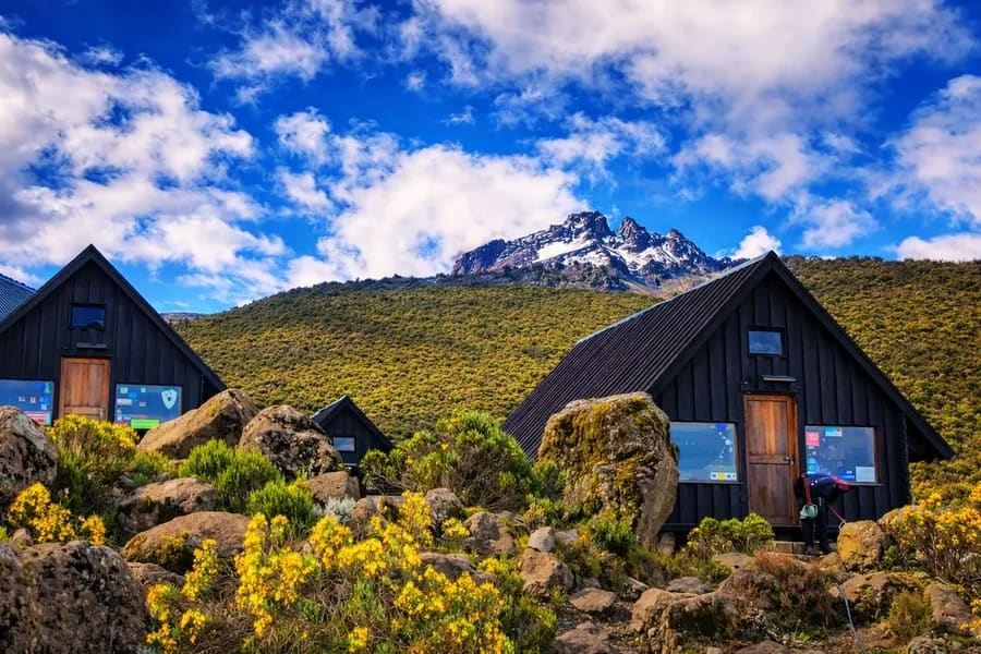Private Kilimanjaro Marangu route coco cola route — The Quiet North. Ascend Tanzania treks.