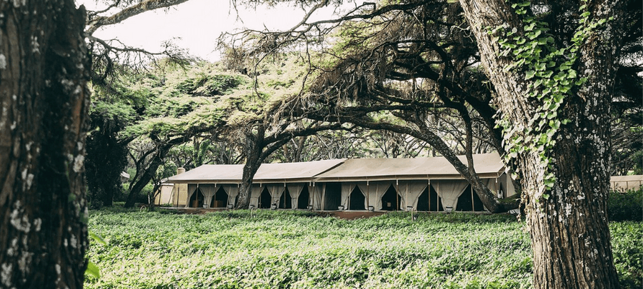 Ngorongoro Tortilis Camp - Hero