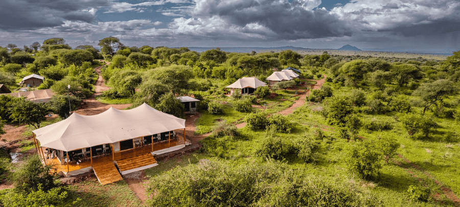An aerial view showcases a luxury safari camp surrounded by lush green wilderness and winding dirt paths. Spacious canvas tents and lodge structures are spread across the landscap…