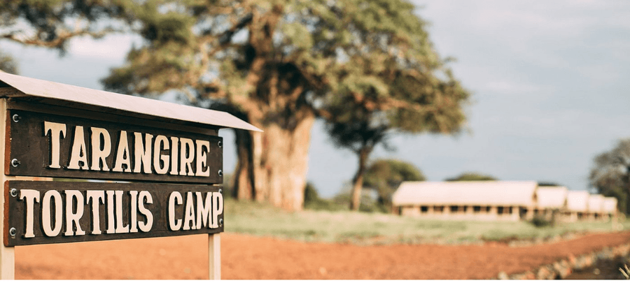 A wooden sign reading “Tarangire Tortilis Camp” stands beside a safari camp surrounded by open grassland and large baobab trees in the distance.