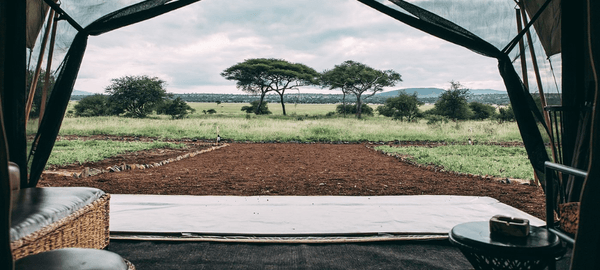 The view from inside a luxury safari tent opens onto a wide grassy plain dotted with acacia trees under a cloudy sky. The tent’s open canvas entrance creates a peaceful indoor-out…